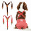Dog Diaper Keeper For Male Dog And Female Dog Diapers, 2 Pcs/ Pack (Red & Brown)