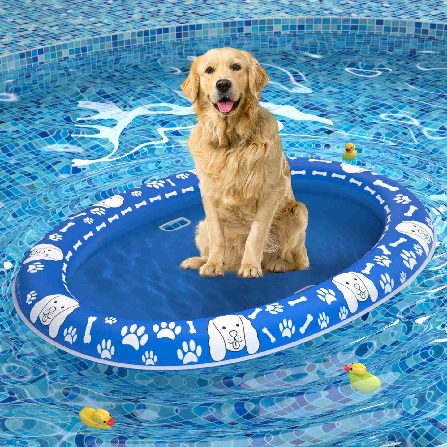 Dog Float Raft - Inflatable Dog Swimming Float for Summer, Blue & White Bone, 1 Pack