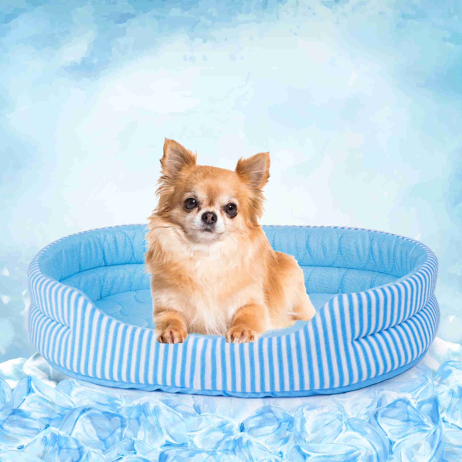 Ice Silk Pet Bed S size 1 Pack Petsoft