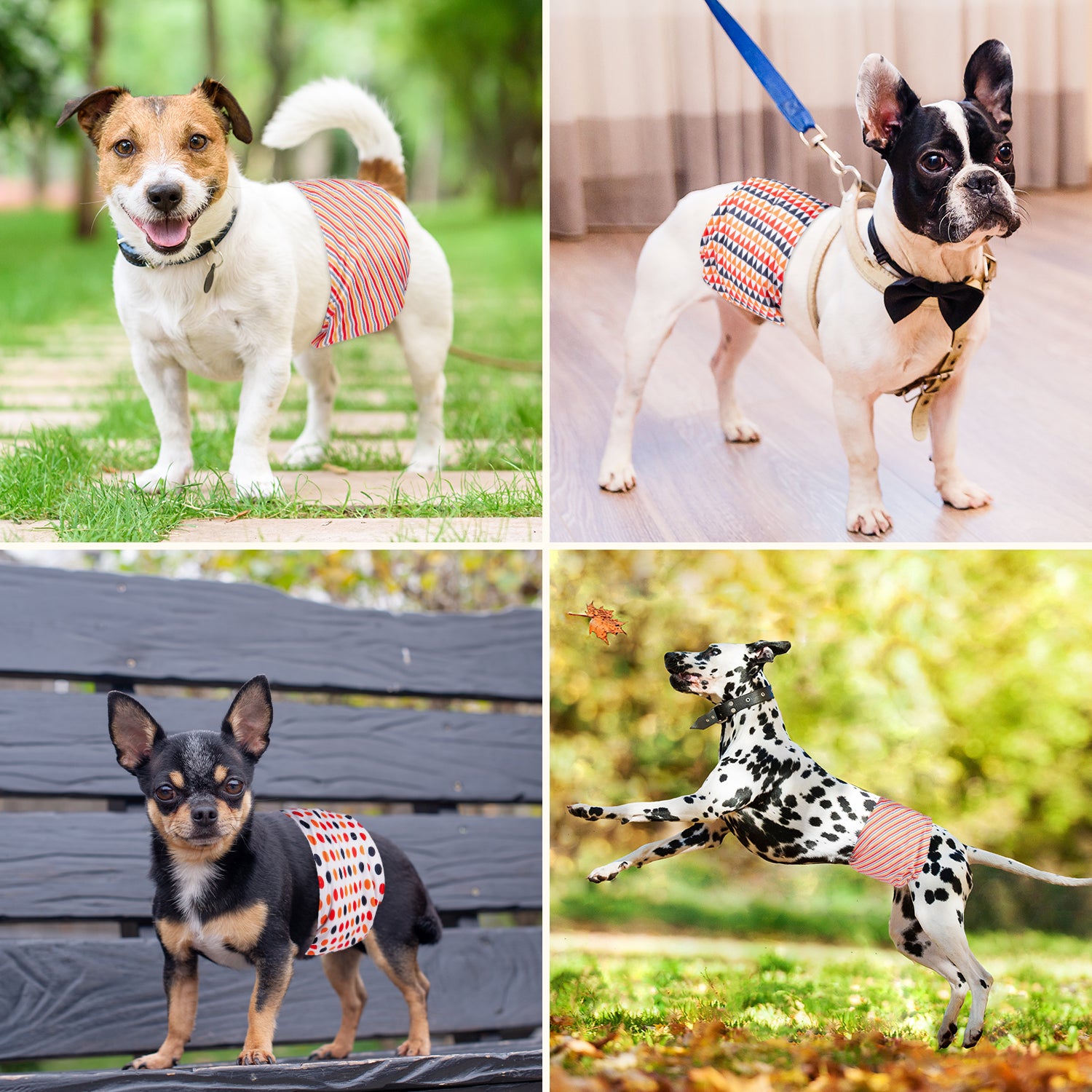 Washable Male Dog Diapers, Reusable Doggy Diapers, 3 Pack (Geometric Patterns)