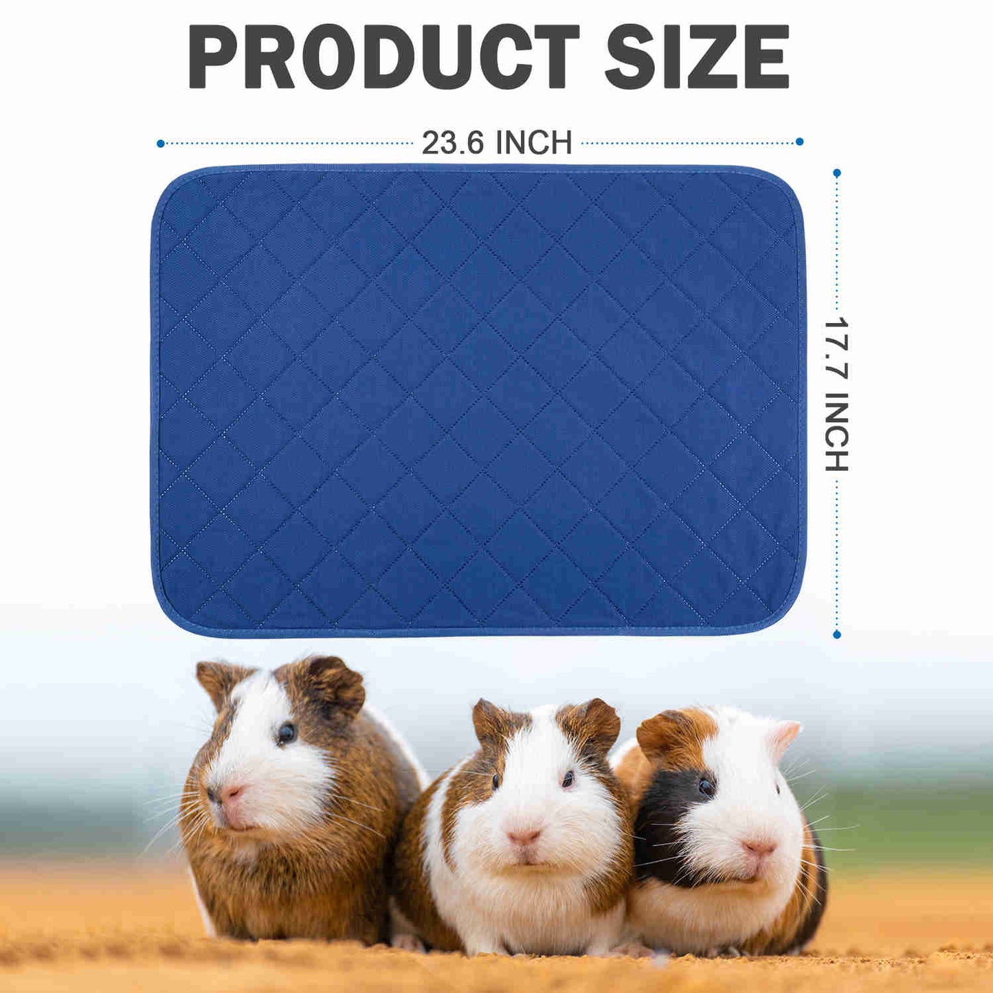 Washable Small Pet Pads, like guinea pigs(Blue/ Orange)