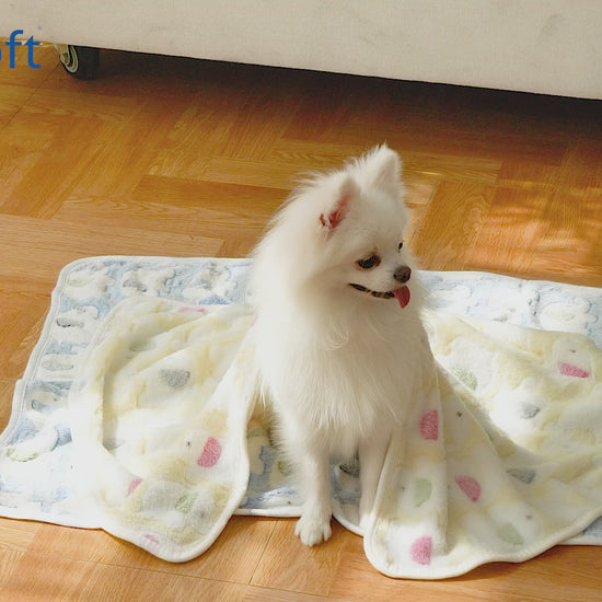 Fluffy Cats Dogs Blankets, 3 Pack  (Heart)