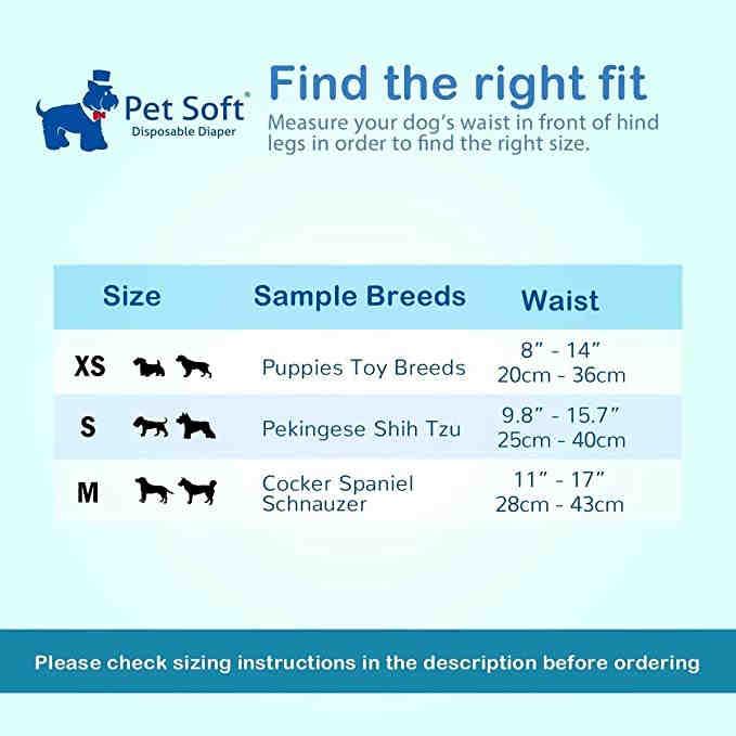 Best Online Pet Supply Store With Free Shipping Petsoft best-online-pet-supply-store-with-free-shipping-petsoft