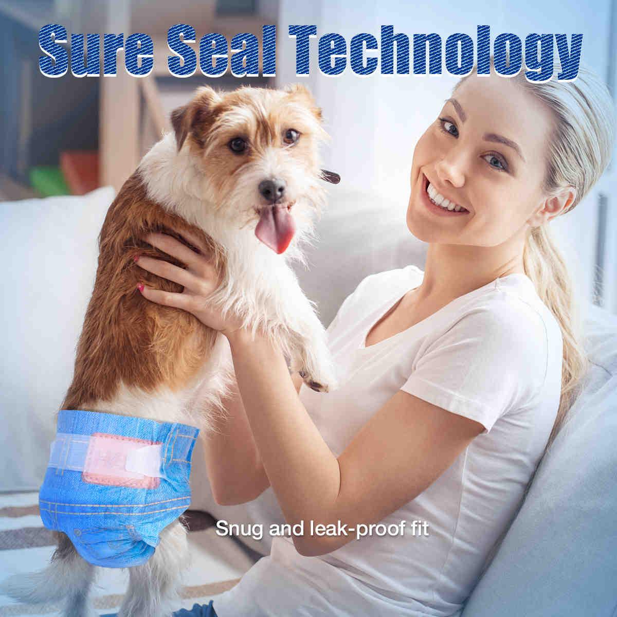 Best Online Pet Supply Store With Free Shipping Petsoft best-online-pet-supply-store-with-free-shipping-petsoft