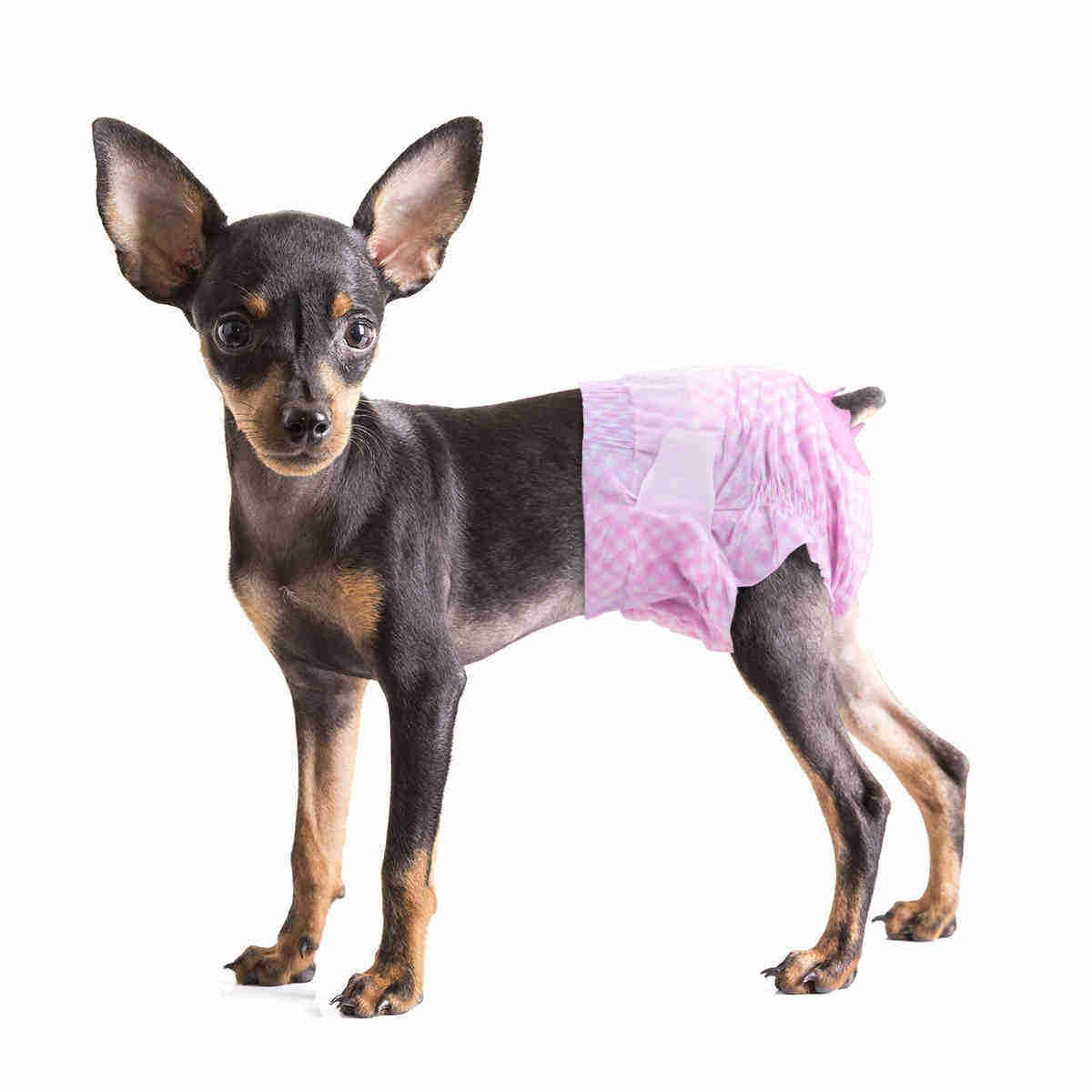 Disposable Female Dog Diaper, Adjustable Tail Hole, 12 Pcs, 1 Pack - Petsoft