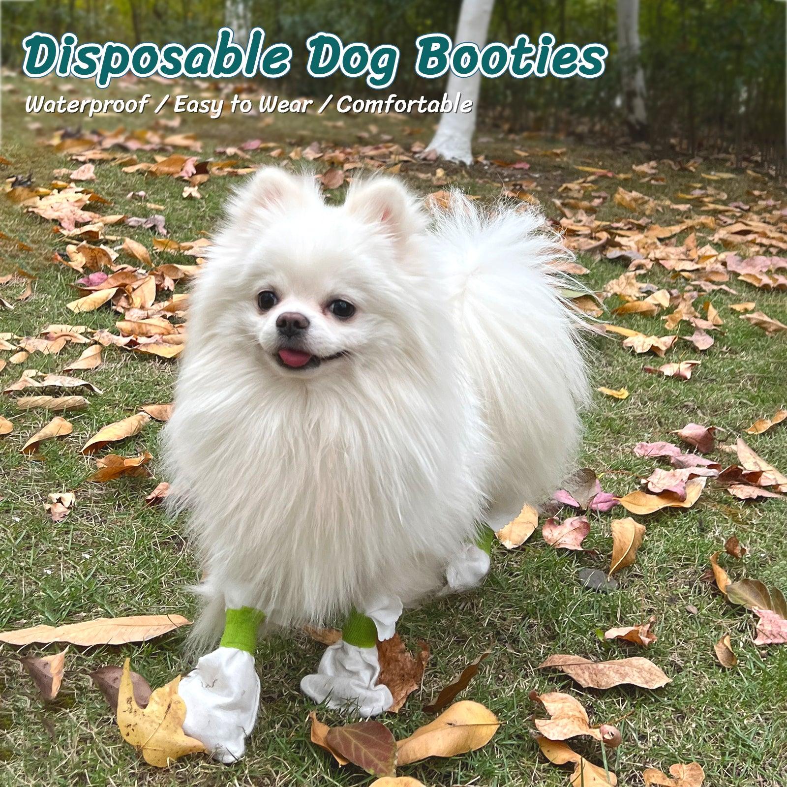 Disposable dog boots, keep your pet clean, waterproof outdoor, 1 Pack - Petsoft