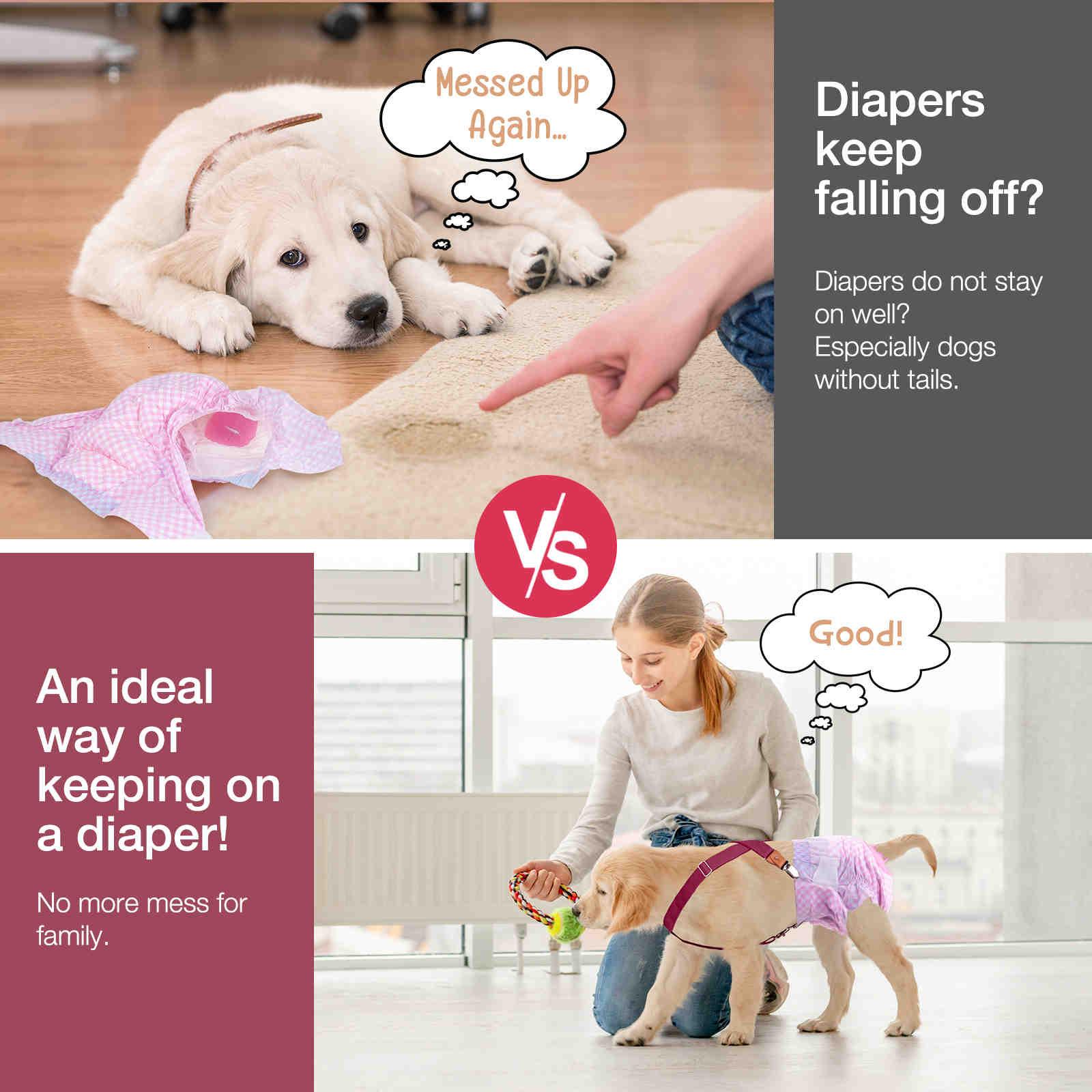 Dog Diaper Keeper For Male Dog And Female Dog Diapers