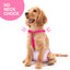 Dog Diaper Keeper For Male Dog And Female Dog Diapers