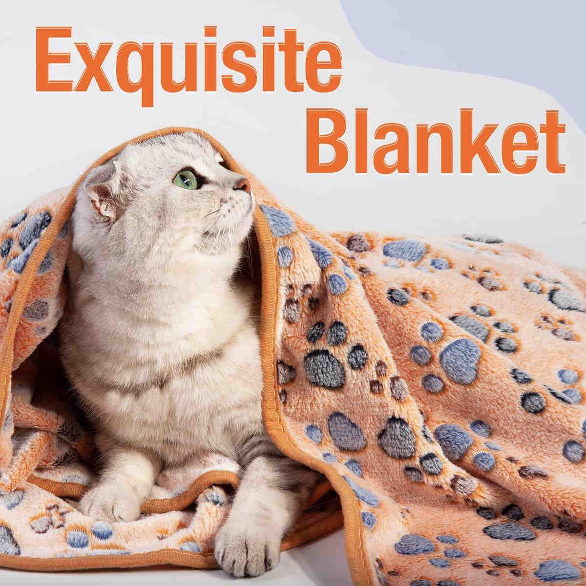 Cat blankets for discount cats