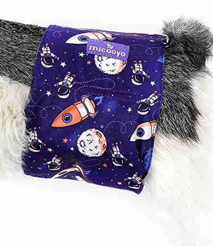 Washable Male Dog Diapers, Reusable Doggy Diapers, 3 Pack (Airship)