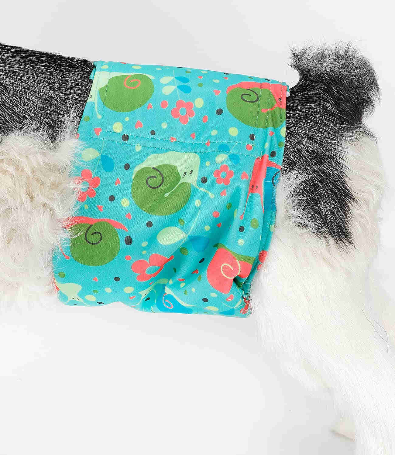 Washable Male Dog Diapers, Reusable Doggy Diapers, 3 Pack (Animals)